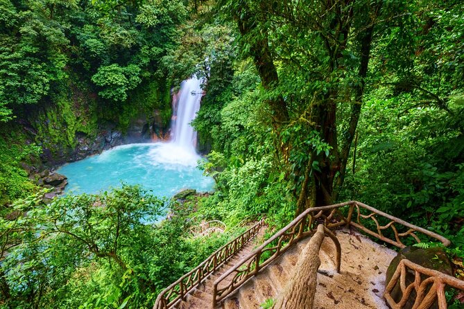 Rio Celeste Hiking from Arenal - National Park Guided Tour - Authentic Experiences and Real User Feedback