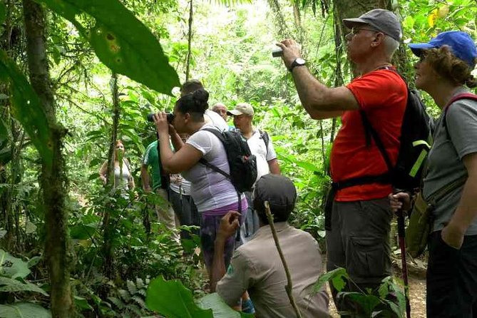 Rio Celeste Hiking from Arenal - National Park Guided Tour - Exploring the Tour Itinerary in Detail