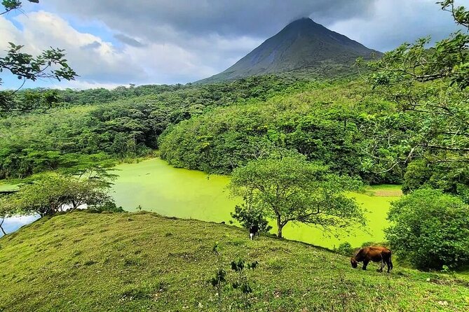 Half Day Adventure from Arenal -2 tours in 1, 4 options to choose - A Practical Look at the Tour Experience