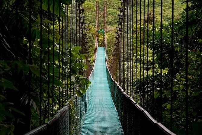 The Mistico Hanging Bridges - Who Should Consider This Tour?