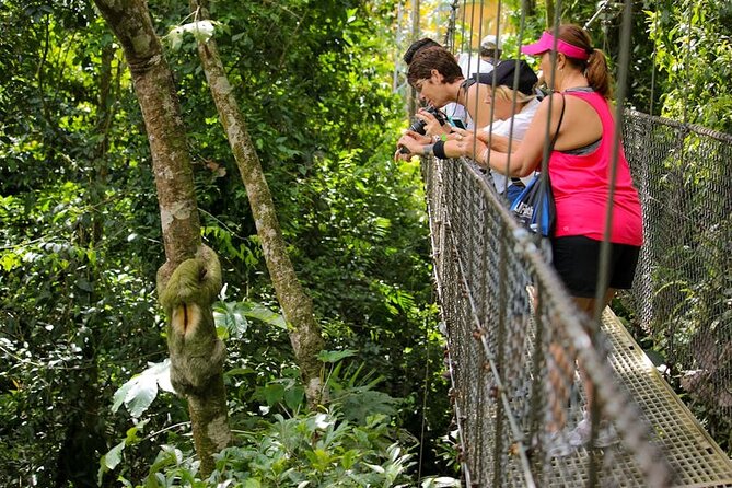 The Mistico Hanging Bridges - Discover the Mistico Hanging Bridges Experience in La Fortuna