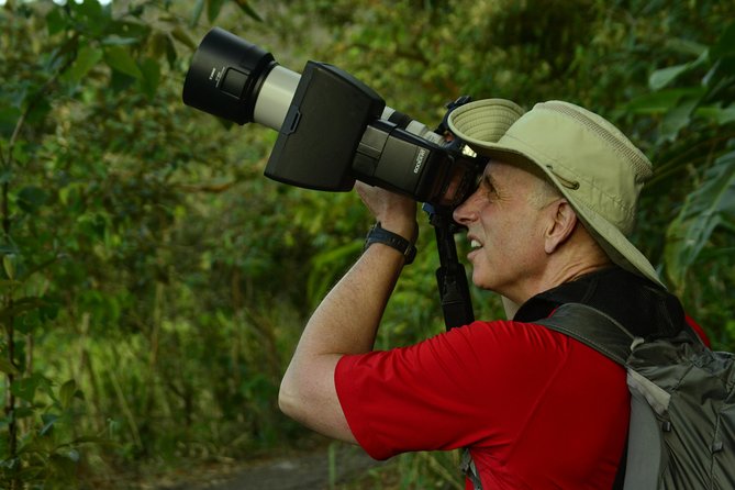 Arenal Volcano Hike 1968 Trail - Who Is This Tour Best For?