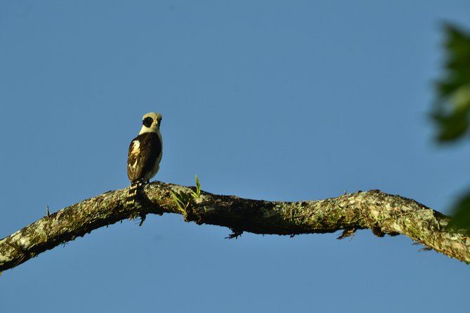 Arenal Volcano Hike 1968 Trail - A Detailed Look at the Arenal 1968 Trail Tour