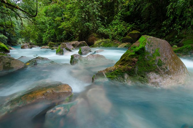Rio Celeste and Tenorio Volcano Hike with Lunch - Who Will Enjoy This Tour?