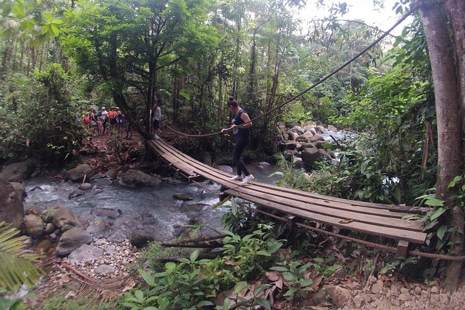 Private Path to Swimming in the Blue Water. - Summary: Who Should Consider This Experience