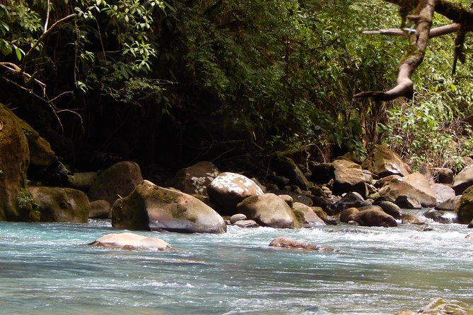 Private Path to Swimming in the Blue Water. - Key Points