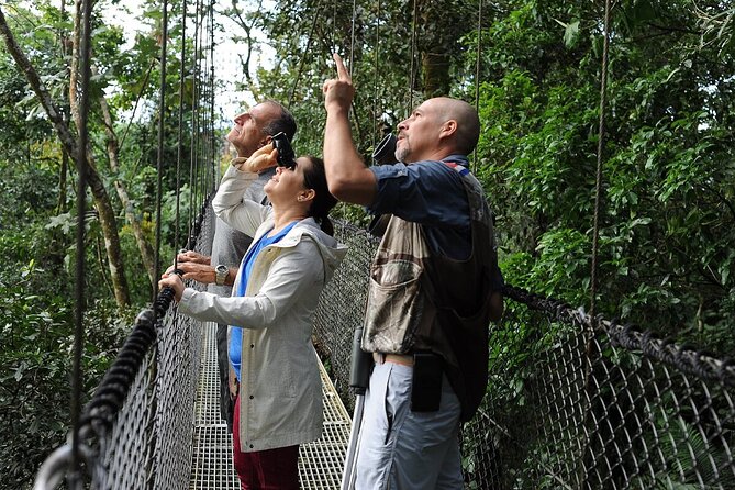 5-night Private Luxury Tour in Costa Rica Pickup Included - Day 6: Return to San José