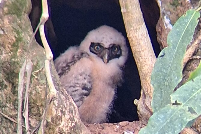Safari by Kayak on Rio Peñas Blancas - Final Thoughts: Is This Tour Right for You?