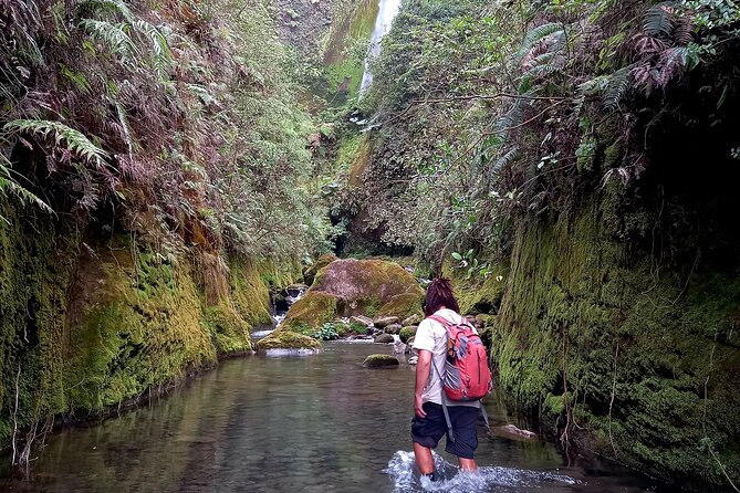 Hike to "Vuelta de Cañón" waterfall at the foot of Poas volcano. - Who Should Consider This Tour?