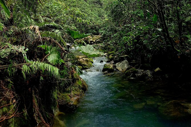 Hike to "Vuelta de Cañón" waterfall at the foot of Poas volcano. - Key Points