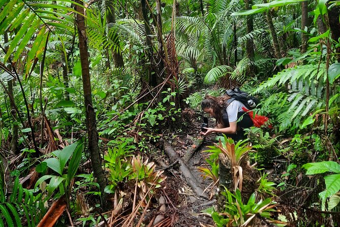Hike to "Vuelta de Cañón" waterfall at the foot of Poas volcano. - The Sum Up: Who Will Love This Tour?