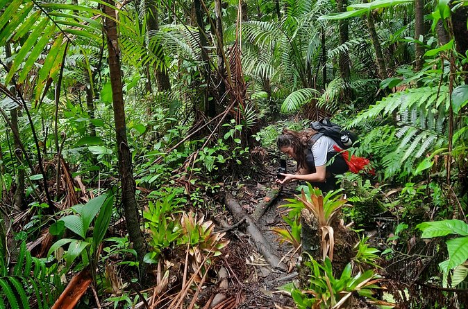 Hike to "Vuelta de Cañón" waterfall at the foot of Poas volcano. - FAQ