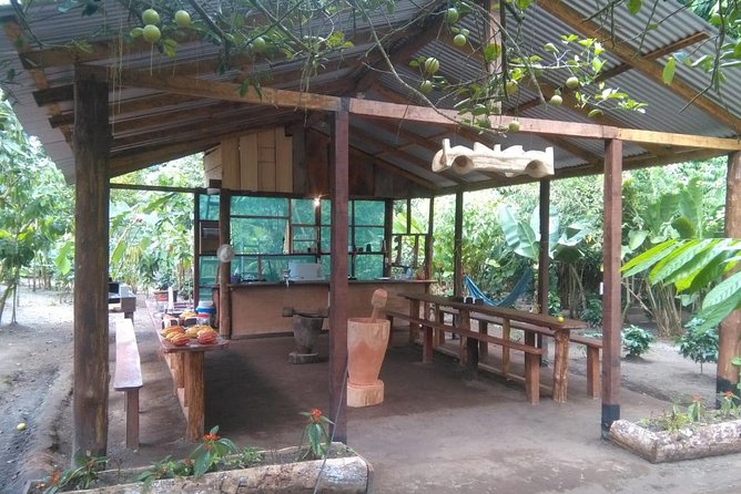 Chocolate and Coffee Tour - An In-Depth Look at the Chocolate and Coffee Tour