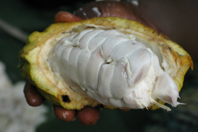 Chocolate and Coffee Tour - FAQ