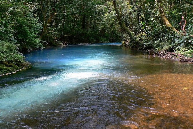 Rio Celeste Hike & Tenorio Volcano Hike - Authentic Experiences and Traveler Feedback