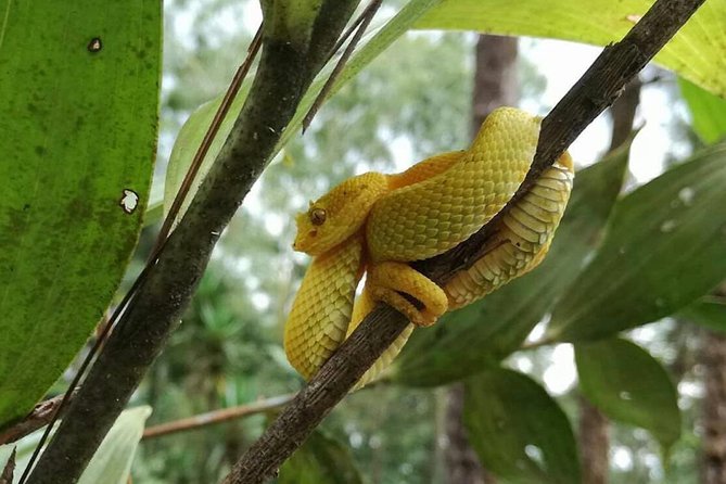 Morning Volcano Hike, Lunch & Hot Springs River - Final Thoughts