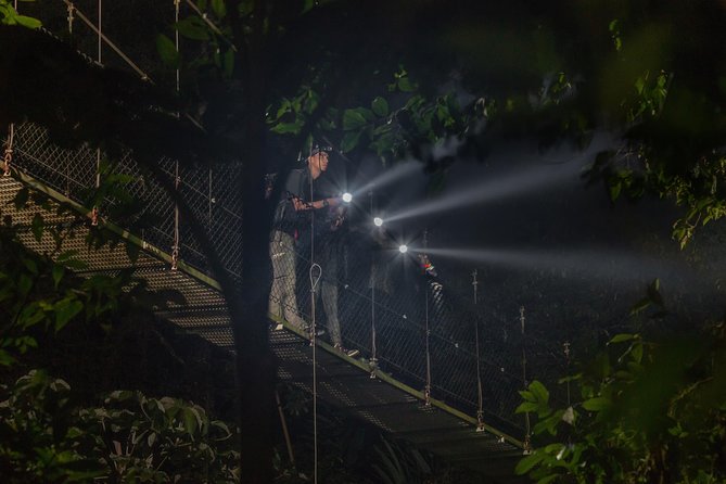 Nocturnal Walk in the Hanging Bridges - Who Should Consider This Tour?