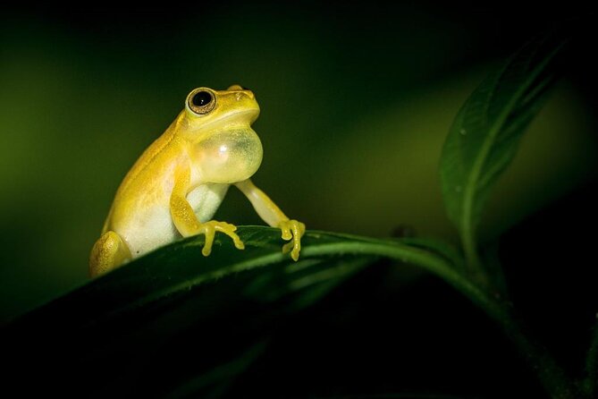 Tour Guidos en Bosque Lluvioso del Ecocentro Danaus - Key Points