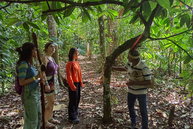 Cacao and Medicinal Plants Ceremony Private Guide - Who Should Consider This Tour?