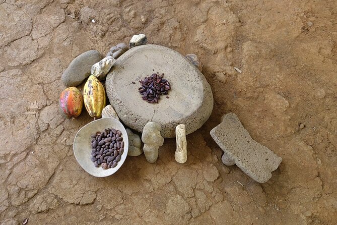Cacao and Medicinal Plants Ceremony Private Guide - Analyzing the Value and Experience