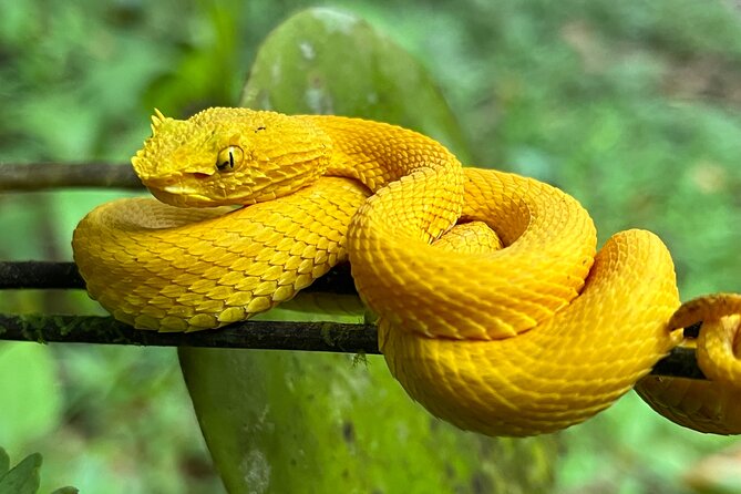 Private tour Arenal Volcano - Key Points