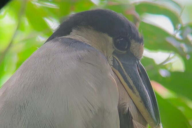 Arenal Full Day Tour - Why This Tour Offers Great Value