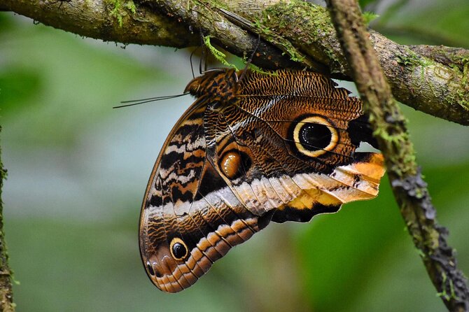 Arenal Full Day Tour - Who Will Love This Tour?