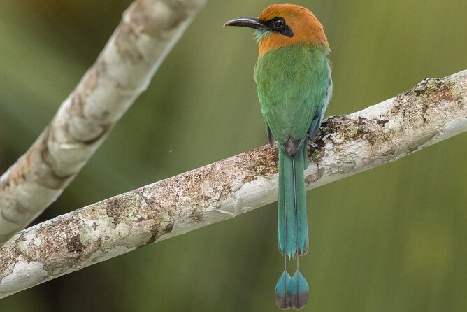 Arenal Full Day Tour - FAQs