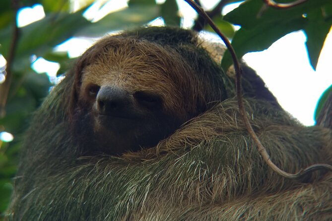 Wild Nature Experience - Key Points