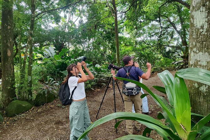 Bijagua Upala Rainforest, Trails, Sloths, Birds and others - A Well-Balanced Adventure for Nature Lovers