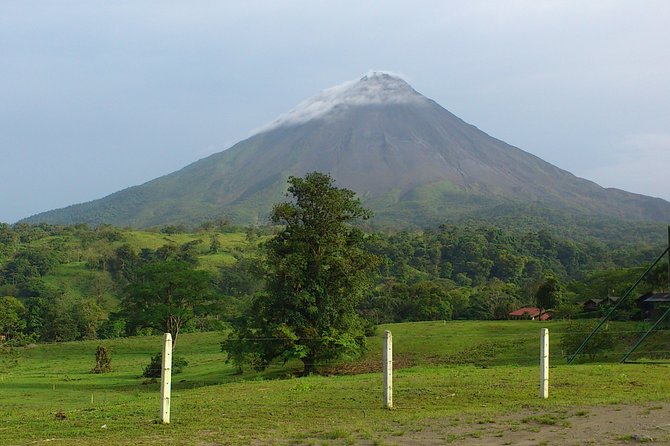 Transfer from Arenal or La Fortuna to Monteverde up to 5 passengers. (One Way) - Who Would Benefit Most?