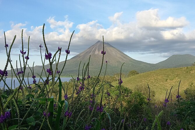 Peak Pursuit: Embark on the Arenal Volcano Hike Expedition - Key Points