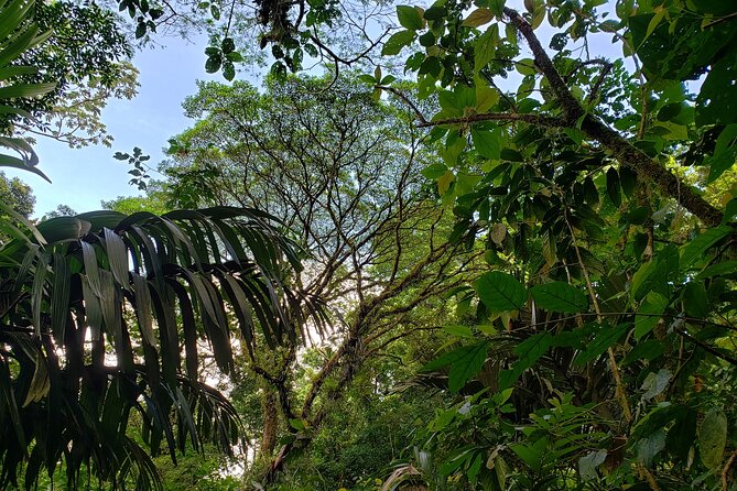 Peak Pursuit: Embark on the Arenal Volcano Hike Expedition - Frequently Asked Questions