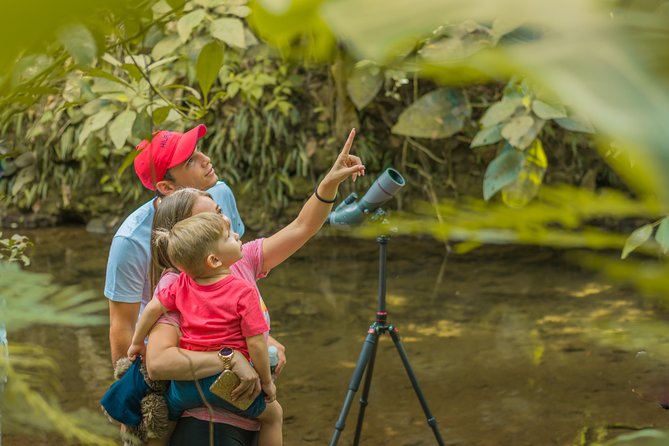 Sloth Watching Tour Experience Costa Rica - Who Would Love This Tour?