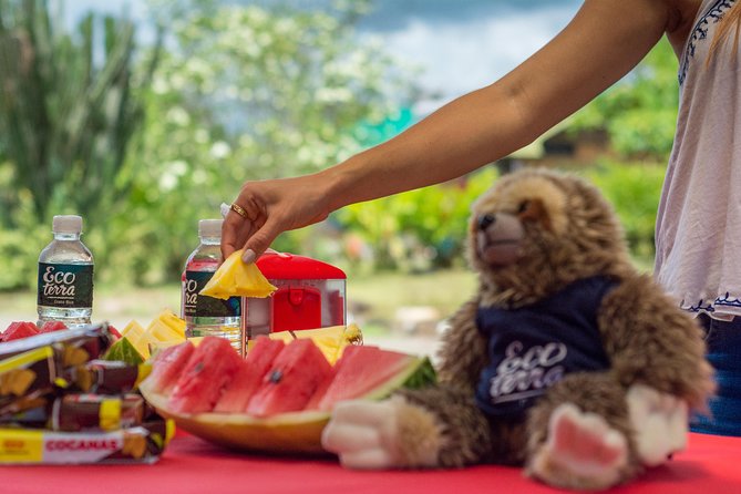 Sloth Watching Tour Experience Costa Rica - FAQ