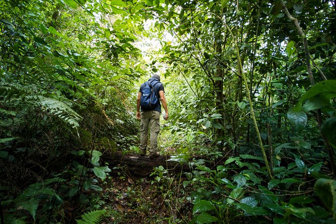 Hiking to Hule Volcanic Lagoon - Final Thoughts