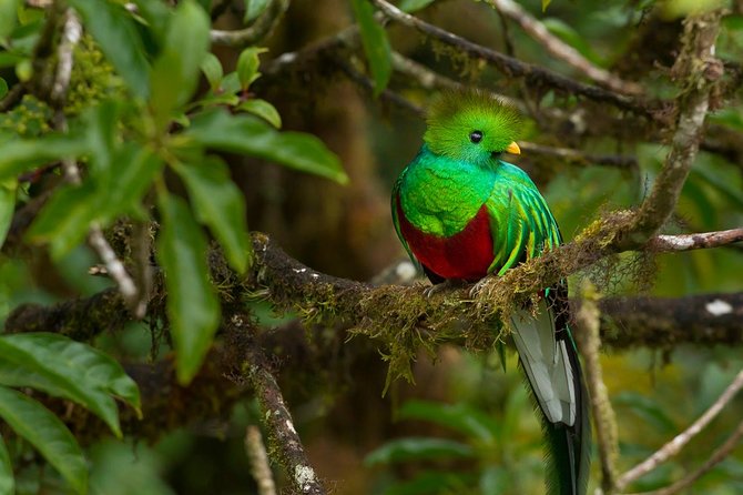 Cloud Forest Hike at Juan Castro Blanco National Park - Authenticity and Value for Money
