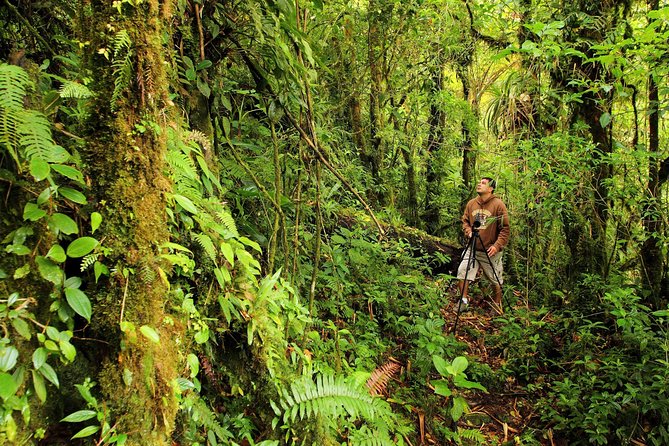 Cloud Forest Hike at Juan Castro Blanco National Park - Who Will Love This Tour?