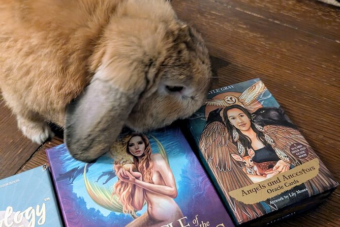 Oracle of St. Augustine, Messages from the Universe. - The Experience in Practice: What Past Travelers Say