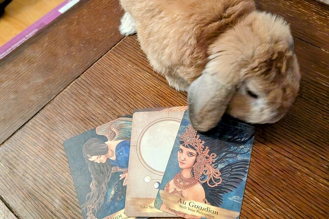 Oracle of St. Augustine, Messages from the Universe. - Final Thoughts: Is It Worth It?