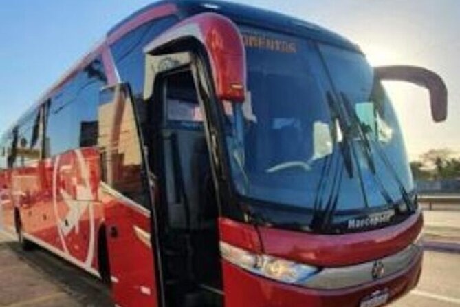 Round trip transfer to Jericoacoara - What You’ll See and Experience in Jeri