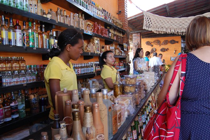 Walk to Morro Branco Beach & Praia das Fontes - Optional Buggy Ride and Extra Activities