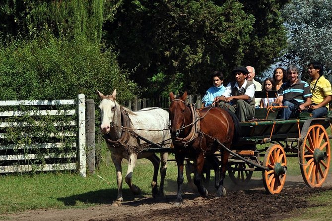 Fiesta Gaucha en Estancia - Day Ranch Gaucho Barbeque - Who Will Love This Tour?