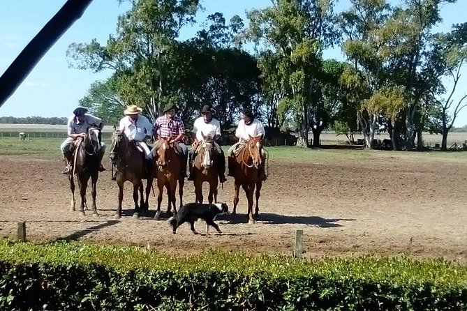 The Most Traditional Fiesta Gaucha in Buenos Aires - Practical Details and Value