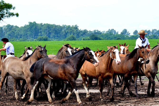 The Most Traditional Fiesta Gaucha in Buenos Aires - FAQ