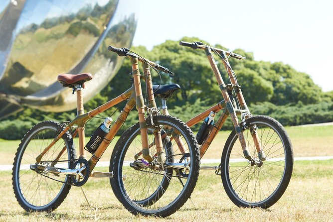 Ultimate Buenos Aires Bike Tour: All-Day All-Inclusive All-City - A Closer Look at the Itinerary