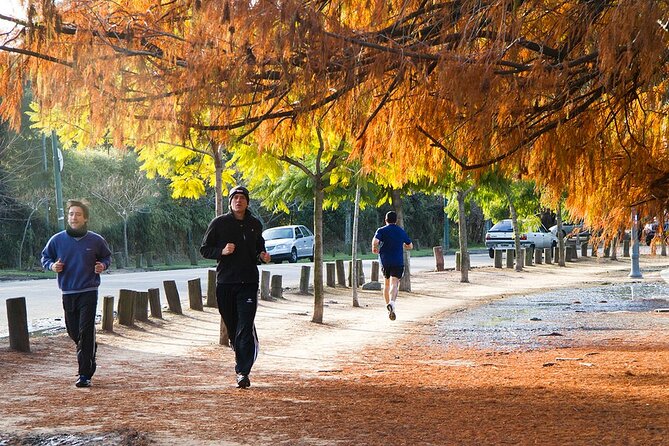 Premium Buenos Aires Private City Tour - Exploring Buenos Aires in Style and Comfort