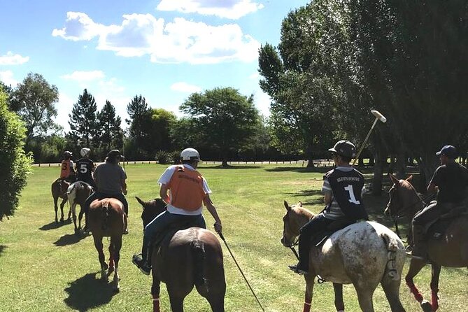 Horseback Riding Tour and Polo in Argentine Countryside - Who Should Consider This Tour?