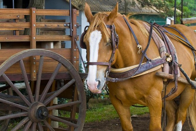 Fiesta Gaucha and Day Ranch in Santa Susana Ranch - Who Will Love This Tour?
