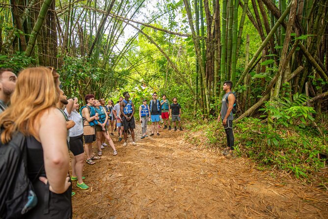 Top Rated El Yunque Rainforest & Waterslide  SmallGroup Tour - In Closing